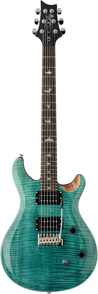 Paul Reed Smith CE24 現状品 楽天市場】PRS（Paul Reed Smith）CE 24 Whale Blue : STARROW ONLINE