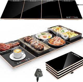 Angju Electric Warming Tray