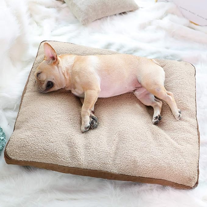 Cama Perro Pequeño Mediano Lavable 60x40cm miniatura 3