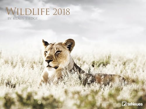 2018 Wildlife Poster Calender - Photography Calendar - Animal Calender - 64 x48 cm