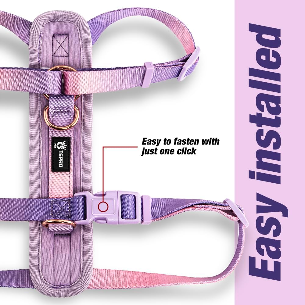 TSPRO Lightweight Dog Vest Harness Adjustable Harness Breathable Durable Quick Release Dog Harness for Medium Dog Walking (Yellow-Green Gradient, Size 2)