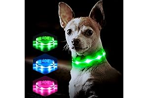 Small Light-Up Dog Collar: Illuminate Nighttime Adventures for Your Beloved Companion
