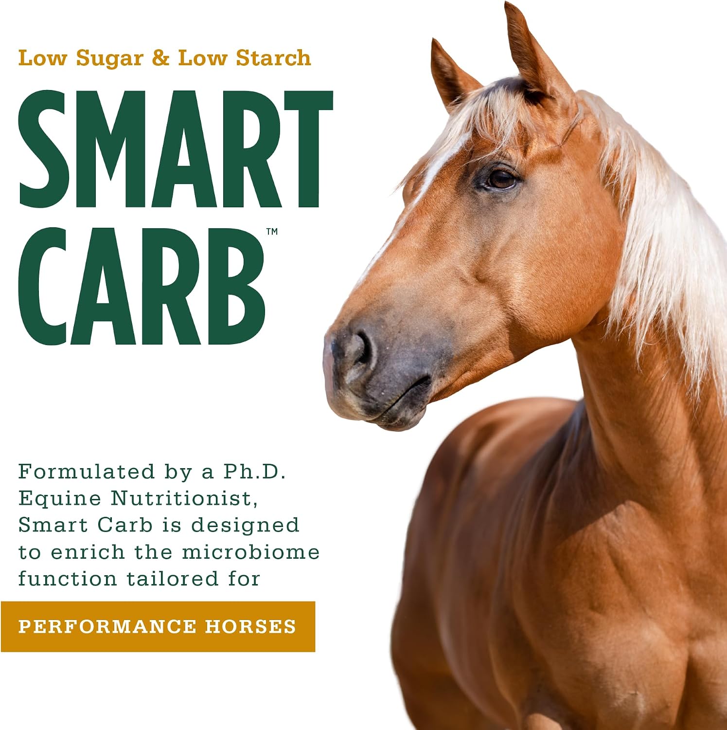 standlee Smart Carb Performance Pellets Horse Feed, 40 lbs