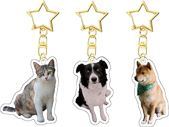 Custom Acrylic Keychain Creative Birthday Gift Package Car Key Pendant Ornament