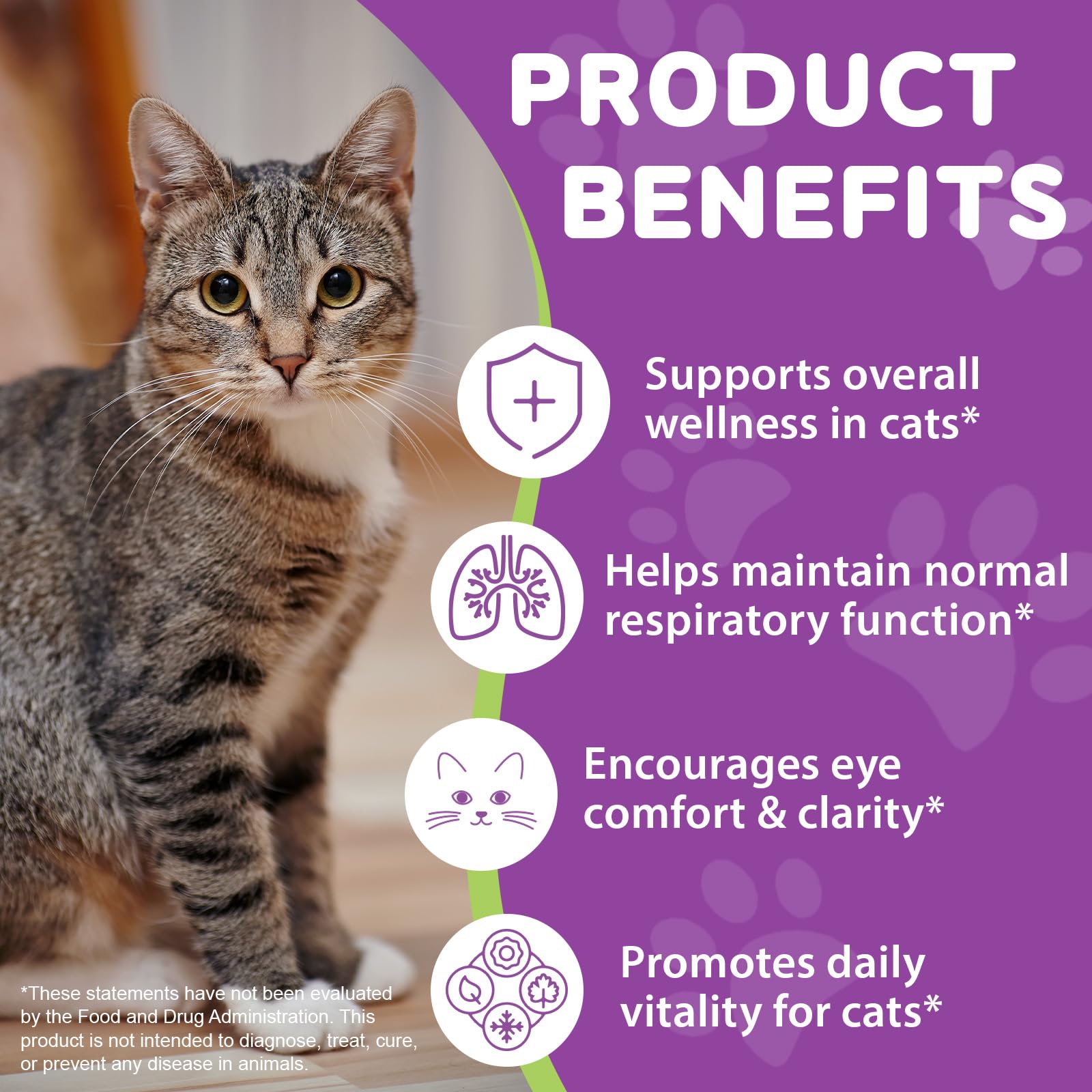 Gotas de L-lisina para gatos 60 ml – Natural Sabor Pollo, 250 mg por dosis, apoyo inmune y respiratorio, ayuda a la salud ocular y a las manchas de lágrimas