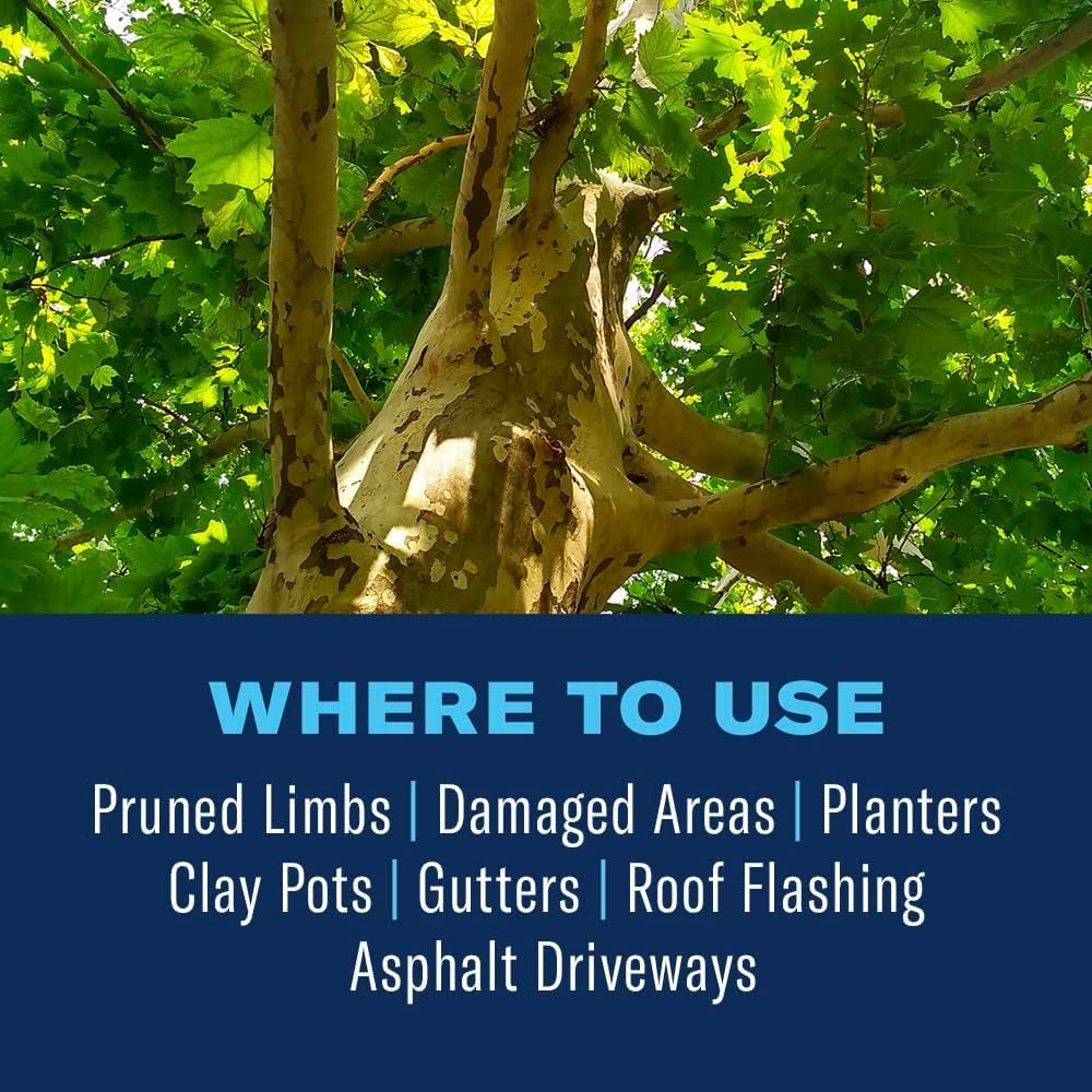 BioAdvanced Tree & Shrub Pruning Seal Spray - Waterproof Protective Seal for Pruned Tree Limbs that Protects Pruned Cuts from Insects and Diseases - 13 oz Can