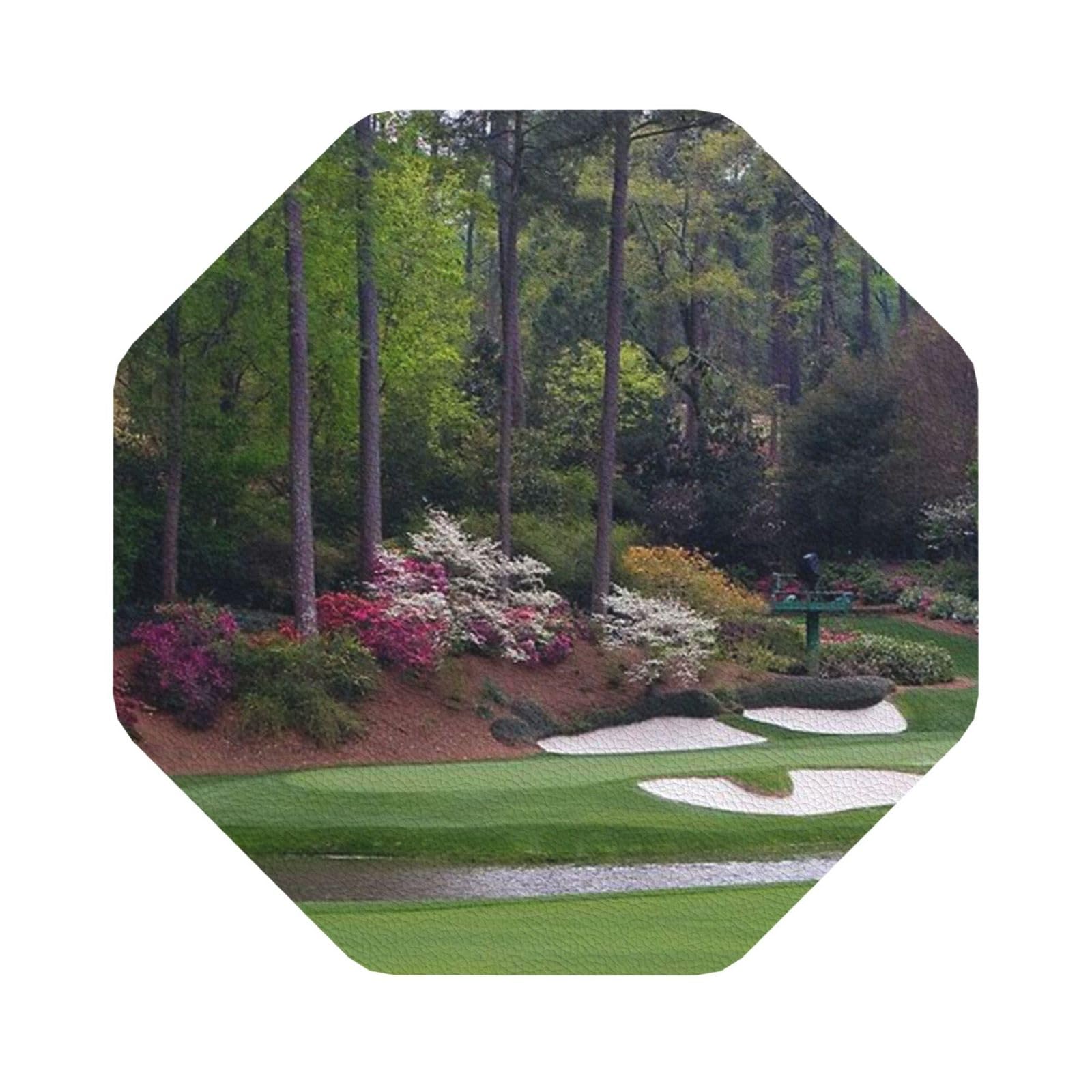 Golf Course PU Leather Coasters Set of 6 Octagon Drink Coasters