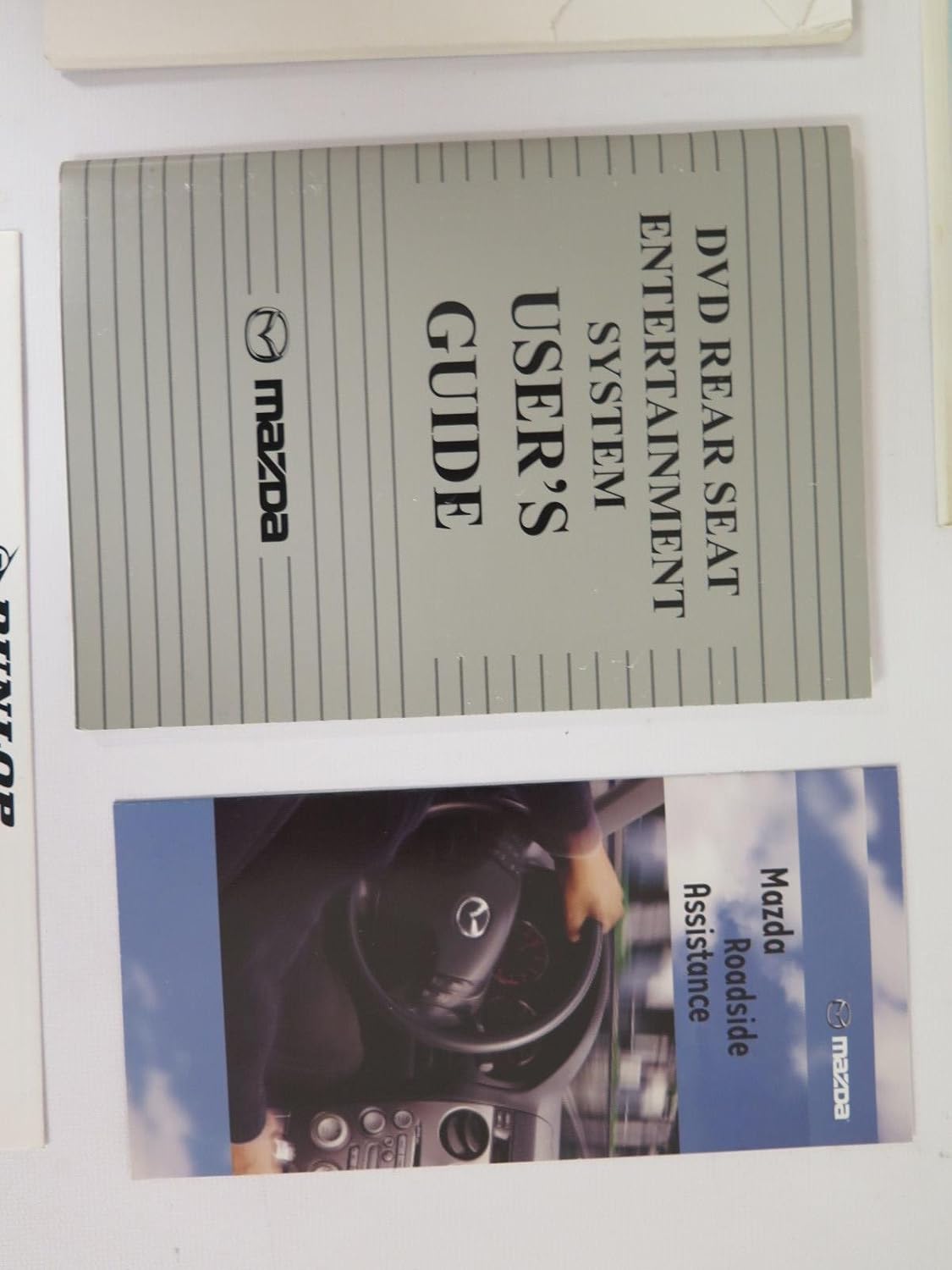 DVD Rear Seat Entertainment System User's Guide