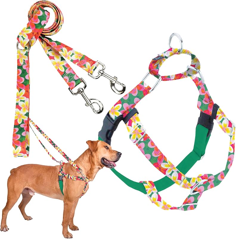 Peitoral Antipuxão para Cães 2 Hounds Design com Guia de Treinamento Freedom Green Aloha, Tamanho M (Peito de 60,96 a 71,12 cm)