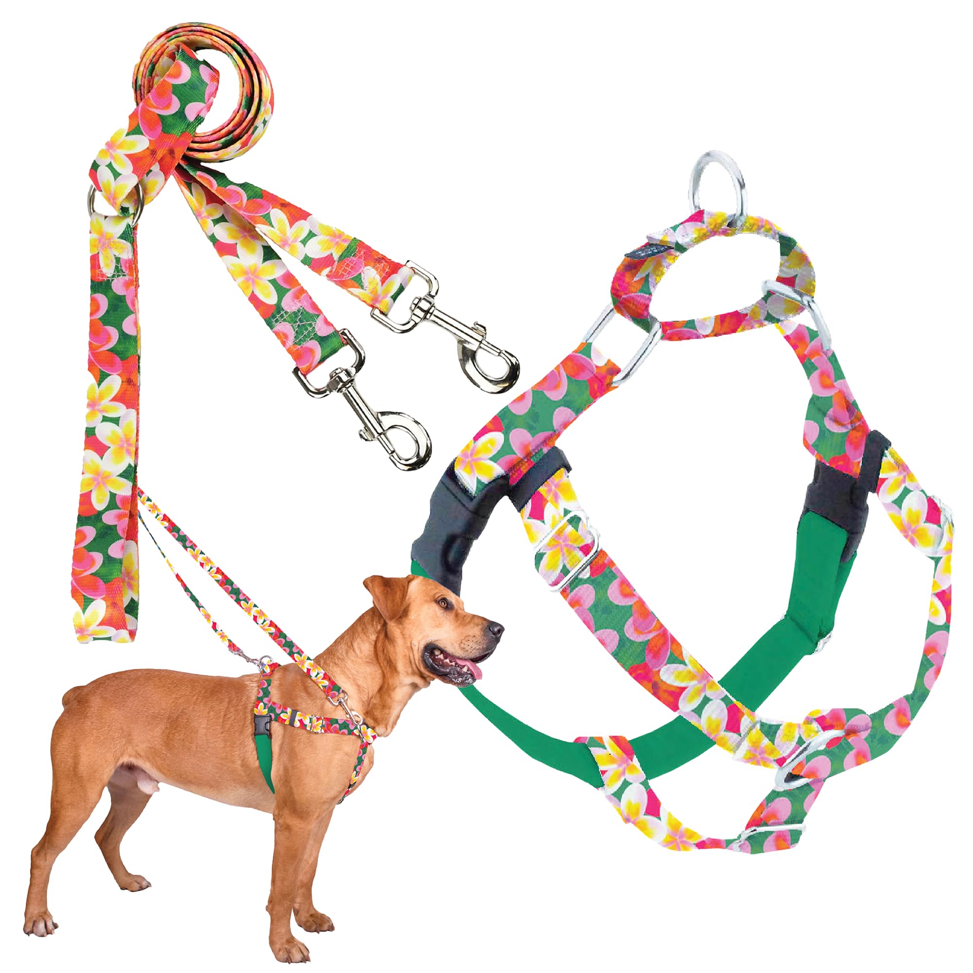 2 Hounds Design - Freedom No-Pull Harness & Training Leash in Green Aloha | Dual Leash Loops, No Pulling on Walks | Lined to Prevent Chaffing | for