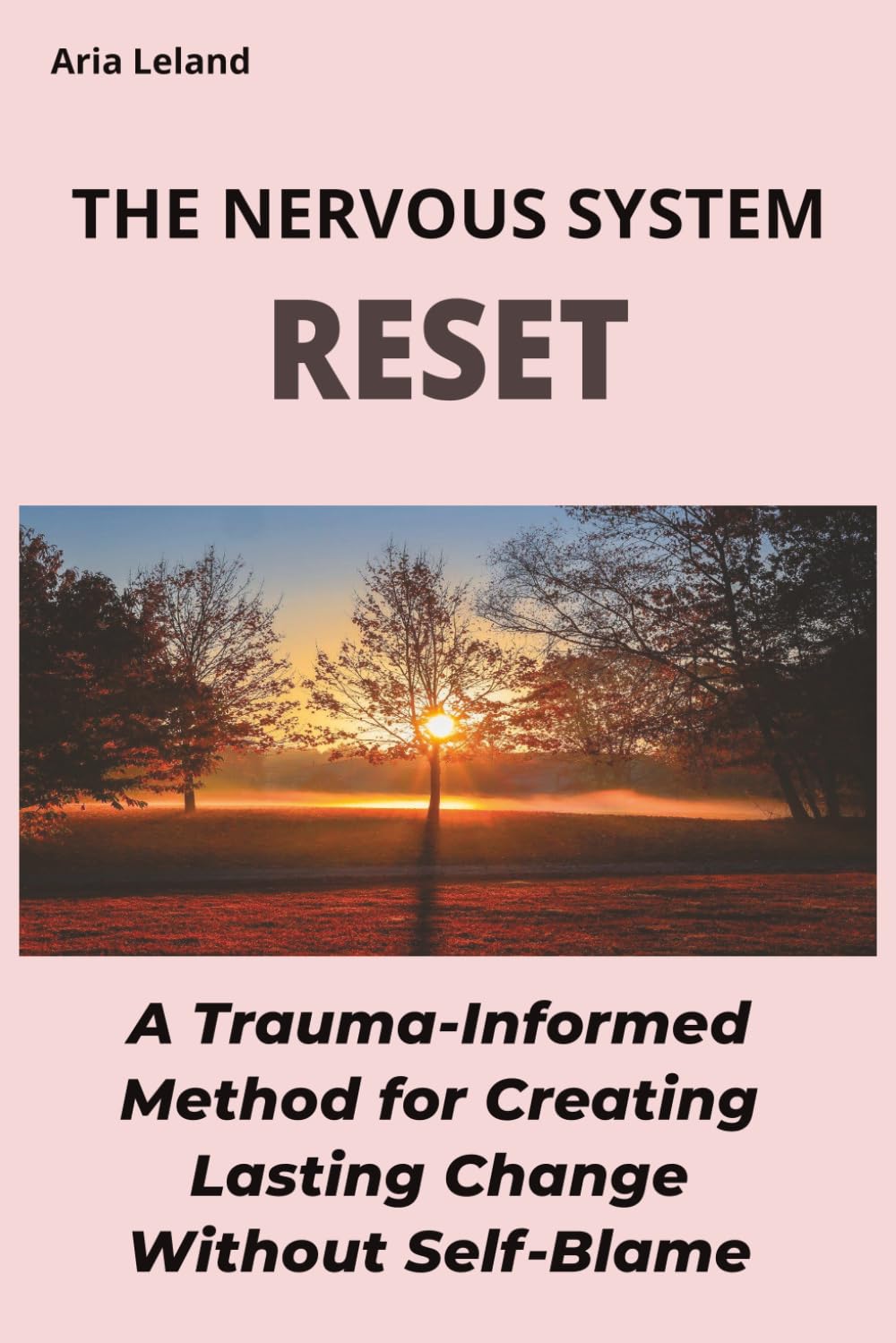 The Nervous System Reset: Trauma-Informed Nervous System Regulation & Stress Management Tools for Healing, Burnout Recovery & Emotional Regulation