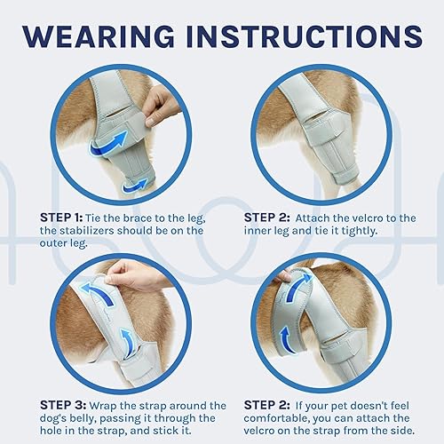 Miniatura 5 de Rodillera para perro para pierna trasera desgarrada del ACL, soporte para pierna trasera de perro, alivia el dolor en las articulaciones, soporte