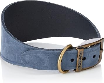 Ancol Timberwolf Greyhound Collar Blue 34-43 cm