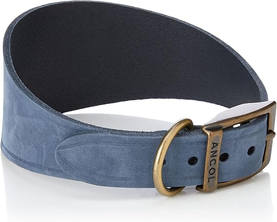 Ancol Timberwolf Greyhound Collar Blue 34-43 cm
