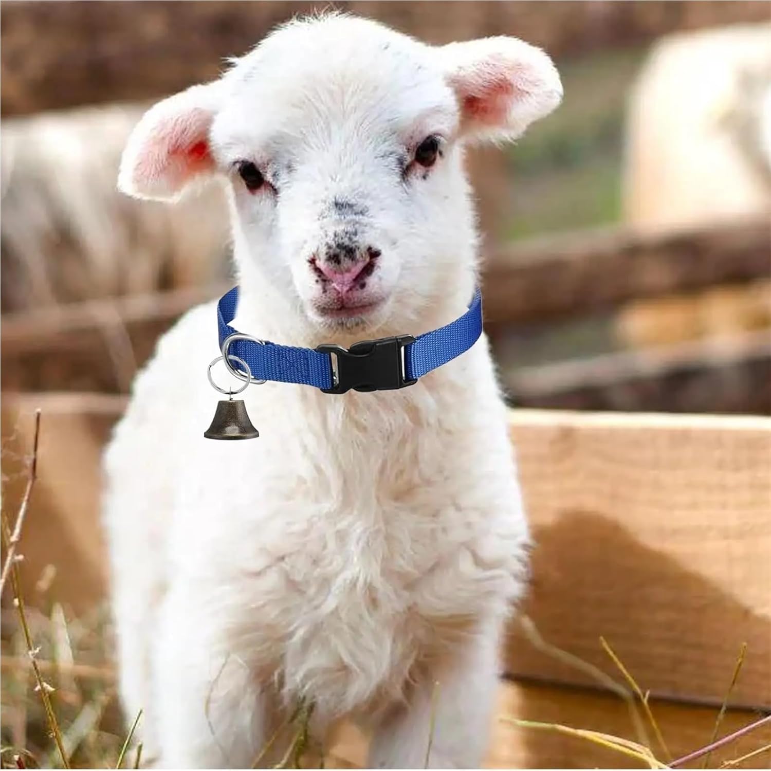 Goat Collar 6pcs Goat Collar Horse Sheep Grazing Bell Clear Sound Quick-Release Buckle Pet Accessories for Small Animal Cow for Small Farm Animal Sheep Cow(Brown)