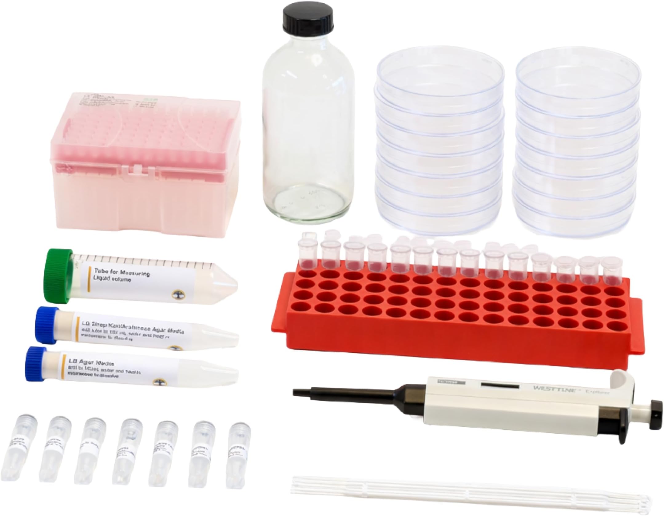 DIY Bacterial Genome Engineering CRISPR Kit