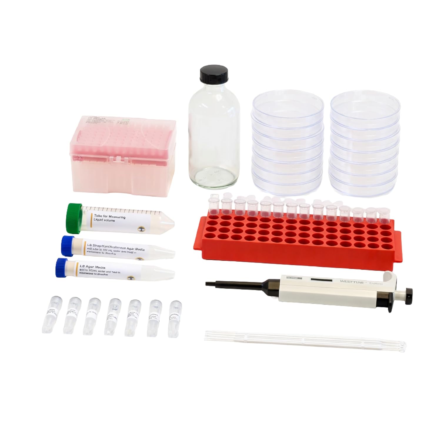 DIY Bacterial Genome Engineering CRISPR Kit