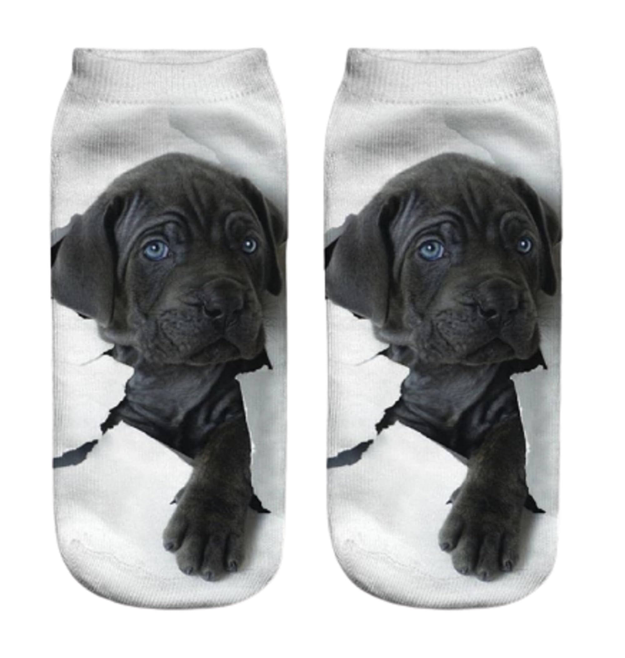 Furever Gifts Unisex Multicoloured Labrador Retriever Dog Trainer Socks One Size Polyester 1 Pair