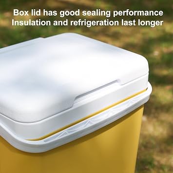 26x19x20cm Cooler Box Insulated Cool Box Chiller With Handle Small Refrigerator Leak Proof Portable Storage Container Freezer For Travel Hiking BBQ