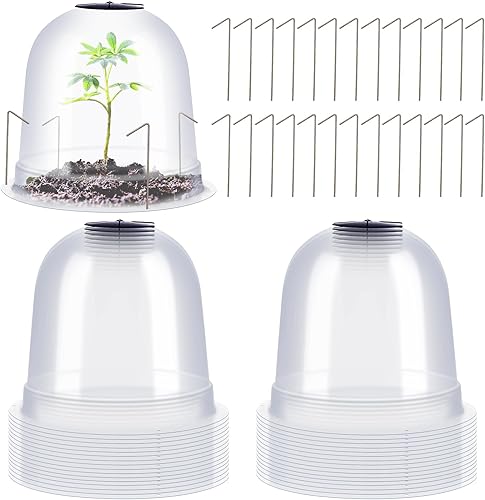 Zopeal 20 unidades de cúpula pequeña para plantas de jardín, 7.68 pulgadas de diámetro x 6.7 pulgadas de alto, cubiertas protectoras gruesas
