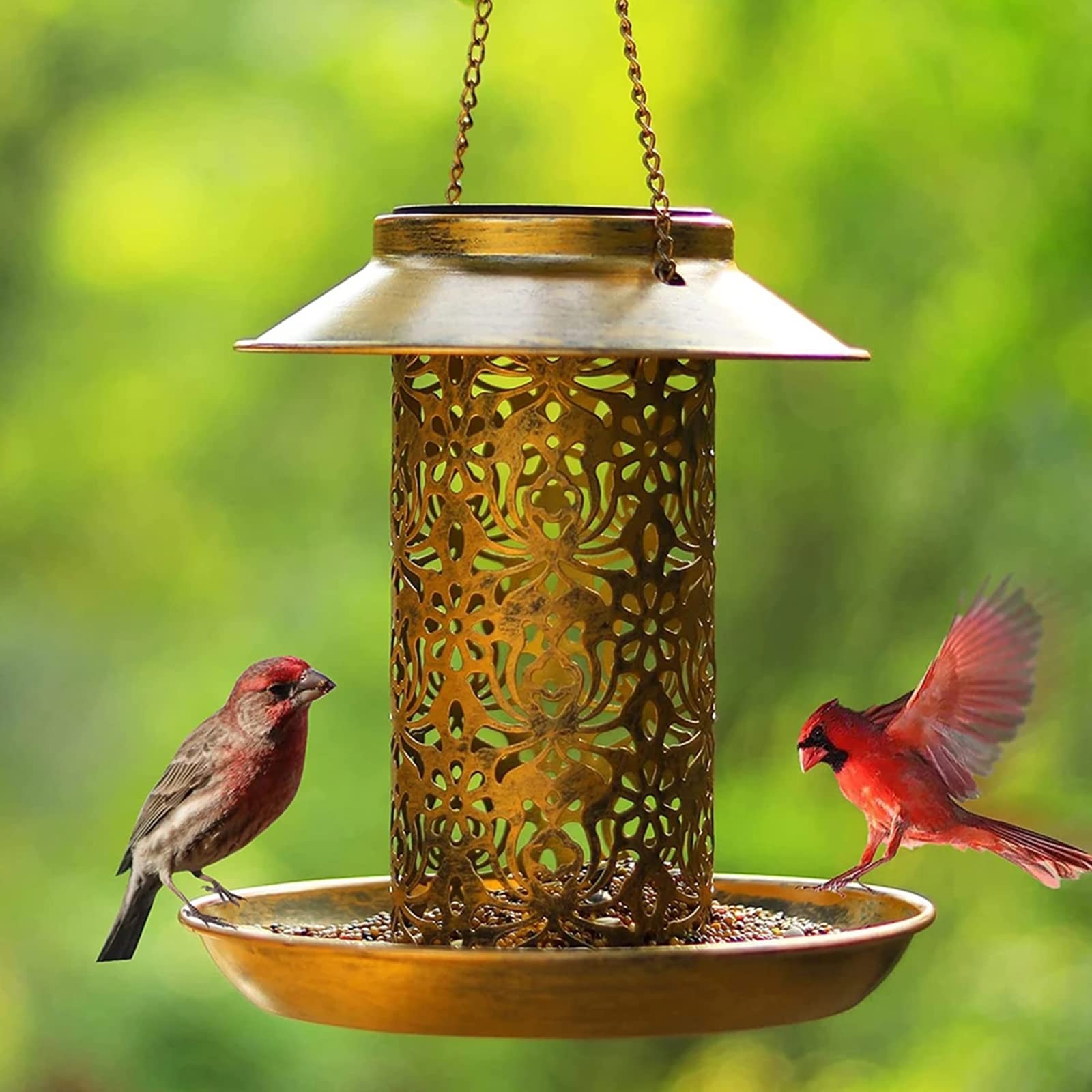 Mangiatoia per Uccelli da Esterno, Mangime Casette per Uccelli, Mangiatoie per Uccelli Selvatici da Appendere, Distributore Cibo per Uccelli Energia Solare, Decorazione del Giardino Esterno
