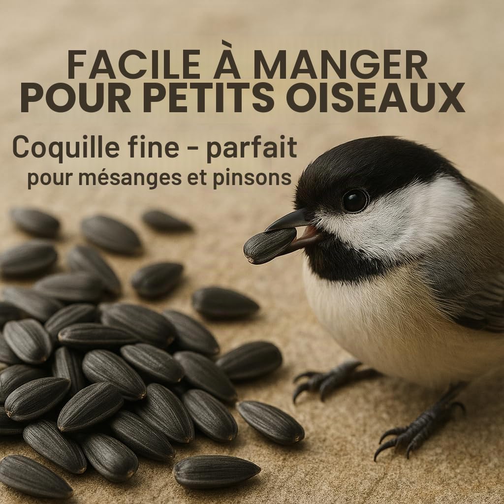 GiDeli Graines de tournesol noires - 30 kg - Nourriture pour oiseaux sauvages - Nourriture pour chevaux et petits animaux