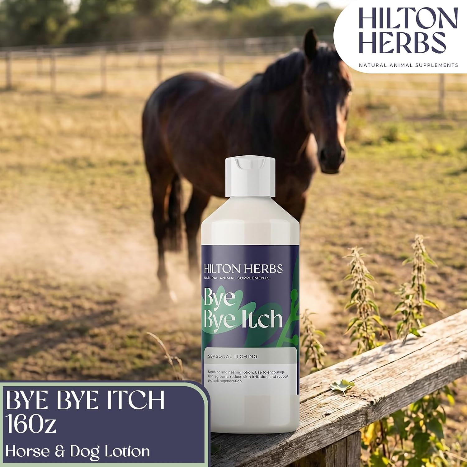 Hilton Herbs Bye Bye Itch Skin Allergy Lotion for Horses / Dogs 16 fl oz