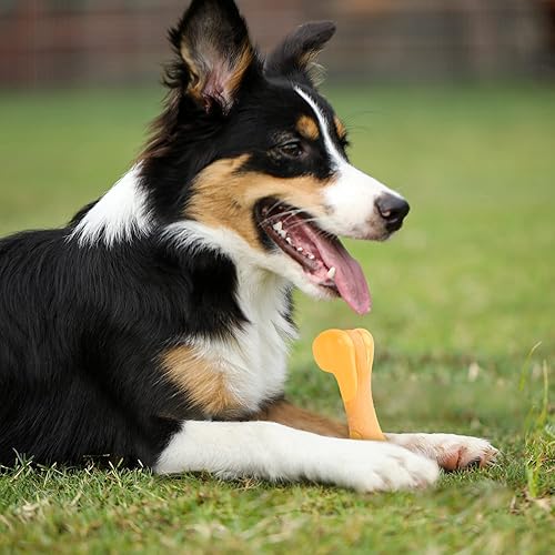 Miniatura 5 de Tikaton Juguetes masticables para perros para masticadores agresivos, sabor a pollo, juguetes masticables duraderos para dentición de perros, huesos