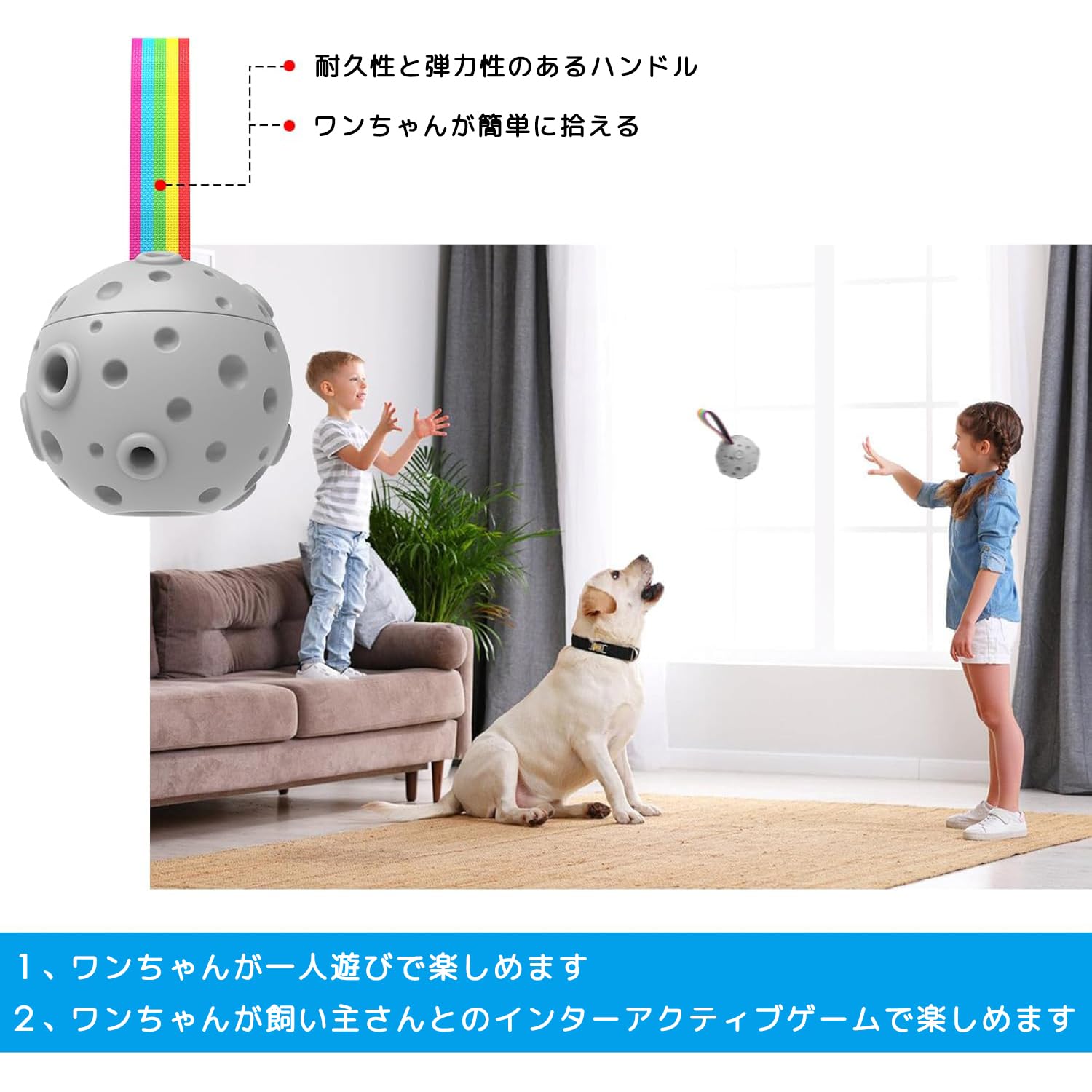 Amazon | 犬 嚙むおもちゃ おやつボール 給餌おもちゃ ノーズワーク