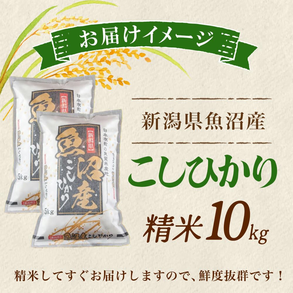 Amazon.co.jp: 新米 魚沼産コシヒカリ 10kg 特A 精米 産地直送 新潟県