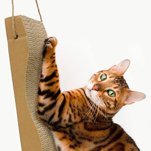 Foto 2 de 6 de Arquivet Rascador para Gatos de cartón en Forma de Ola - Marrón, 46 x 12 x 5 cm