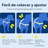 Ver la foto 8