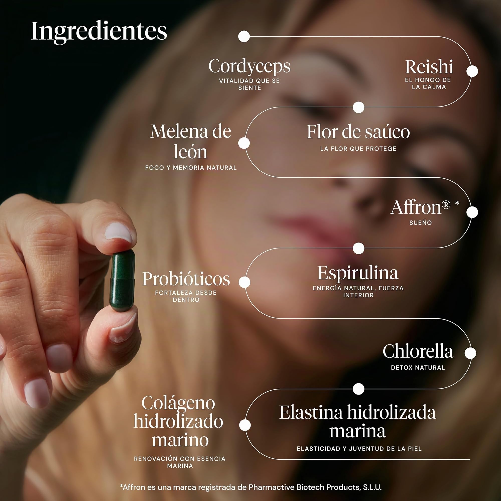 HIFAS DA TERRA - Suplemento Nutricosmética Optimum Health con Extracto de Hongos: Cordyceps, Reishi, Melena de León. Welcome Pack con Botella Reutilizable + 60 Cápsulas. Belleza, Energía y Bienestar