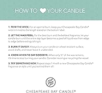 Vista 5 de Chesapeake Bay Candle PT42075 - Vela de cerámica multi-mecha, salvia clara