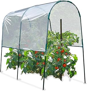 ProBache - Tomatengewächshaus 2 M