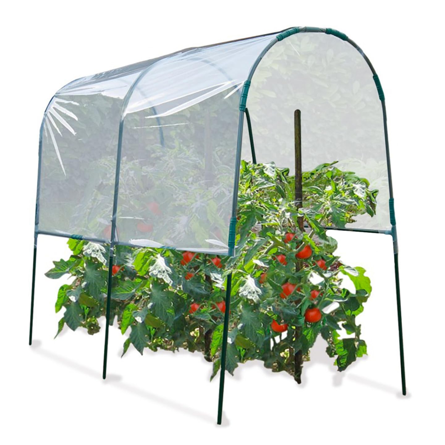 Probache - Serre à tomates 2 M