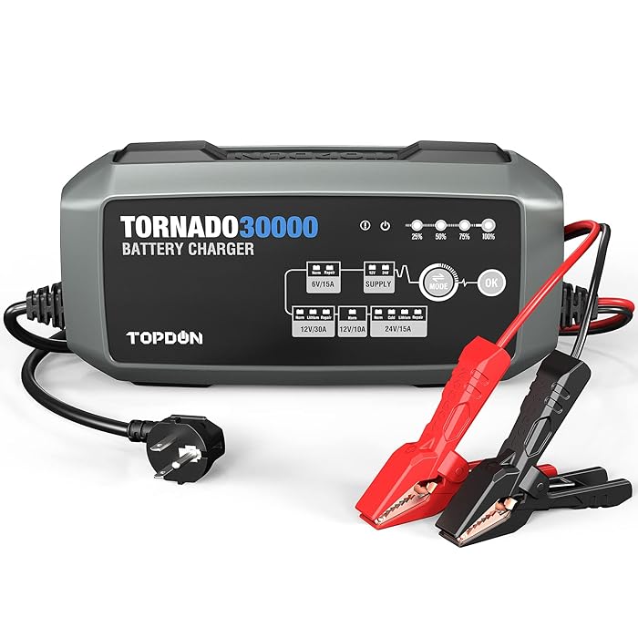 Buy TOPDON TORNADO30000 30 Amp Automotive Battery Charger for 6V/12V