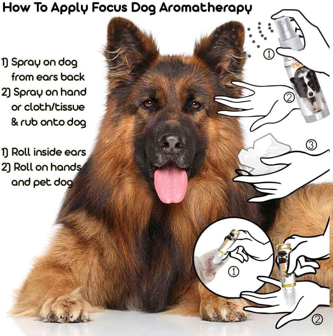 Why Do German Shepherds Roll On Their Backs