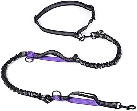 Mile High Life | Retractable Hands Free Dog Leash | Waist Running Adjustable | Reflective Dual Bungees | Dual Handles | Small Medium Large Dogs | (Purple)