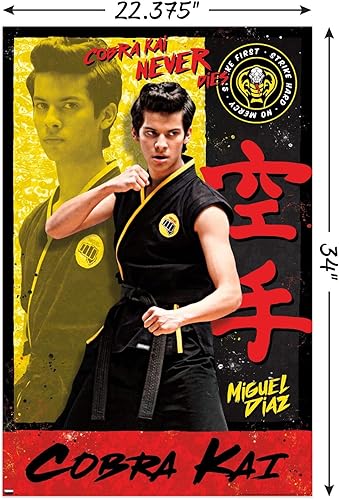 Miniatura 3 de Trends International Cobra Kai - Póster de pared de Miguel, 22.37 x 34.00 pulgadas, versión sin marco