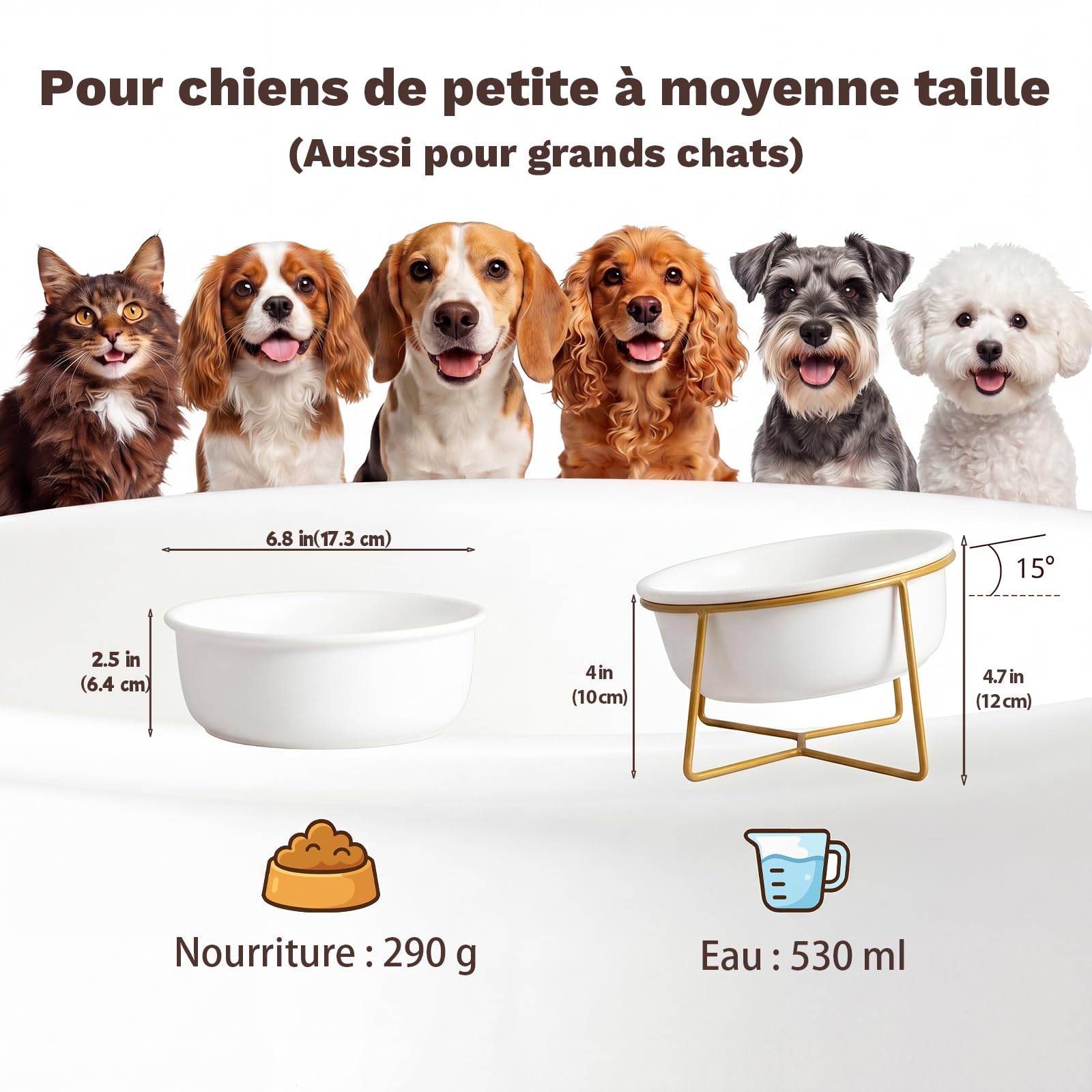 Gamelle Chien Surelevee en Ceramique - Bol pour Chien Surélevée avec Support en Métal - Ecuelle Chat Anti Vomissement - Gamelle Eau Nourriture pour Petits et Moyens Chiens et Grands Chats - 800 ML