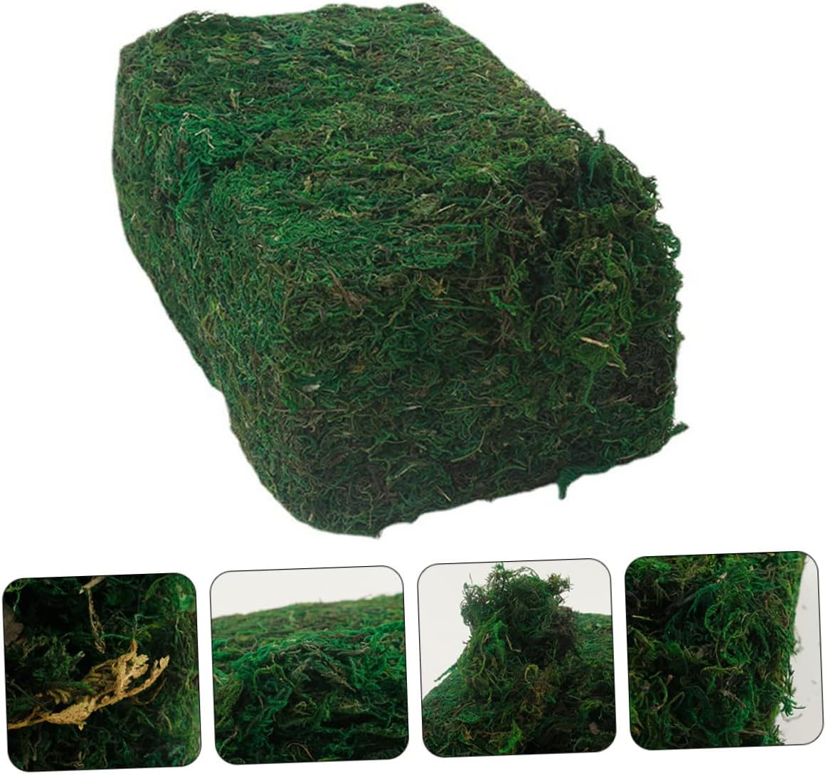 STOBOK 1pc Artificial Moss Flowers Decor Glass Decor Decorative Moss for Planters Glass Containers Faux Plants Artificial Plants Flower Pots Bulk Preserved Faux Moss Decor Accessories PVC, 050346MS6M