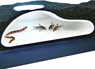Aquarium Underground Tunnel Cave Natural Curve | Viewing Fish & Shrimp Under Gravel Tunnel | Fish Tank Decor Decoration Hideout Perfect for Corydora Catfish, Kuhli Loach, Clown Loach, Pleco (White)