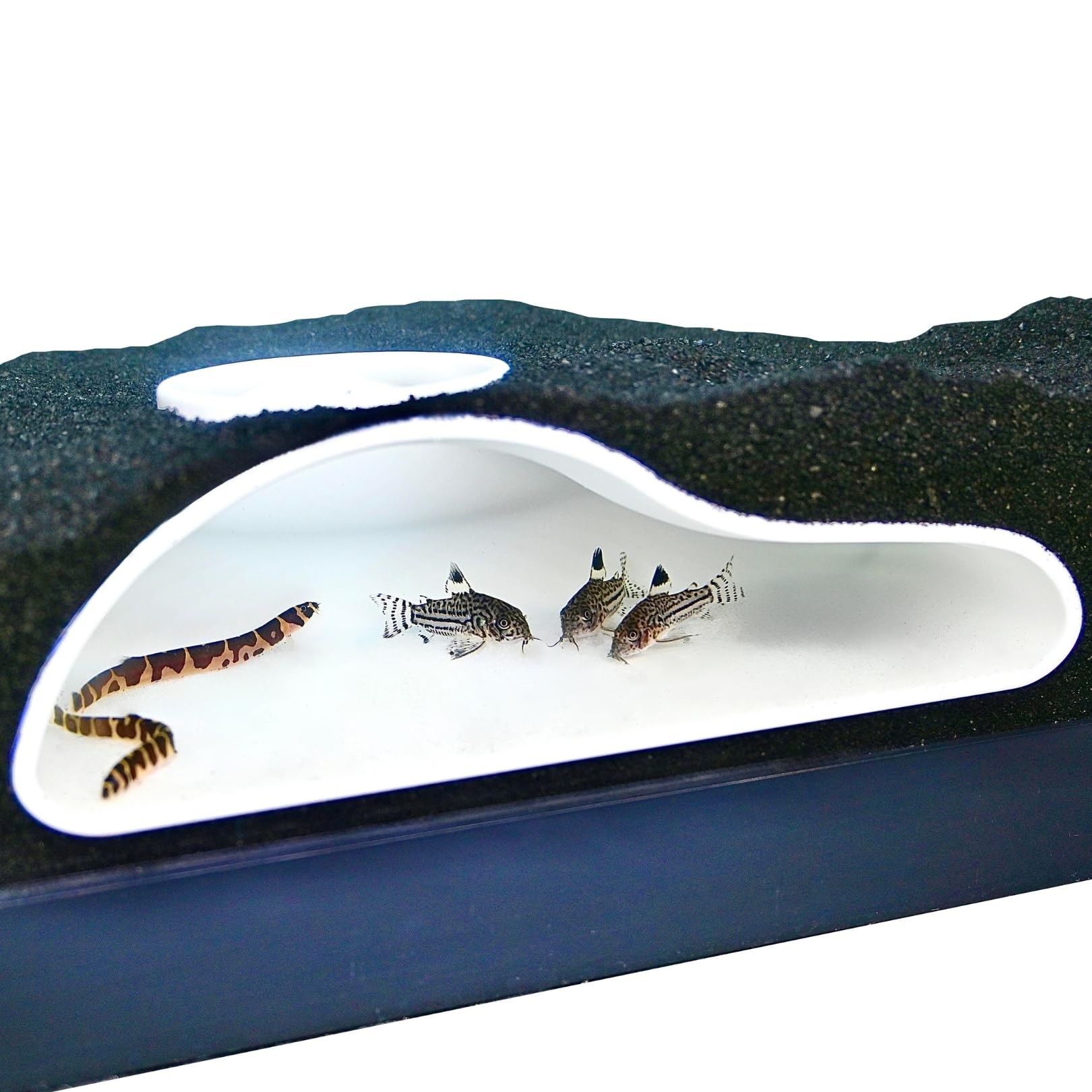 Aquarium Underground Tunnel Cave Natural Curve | Viewing Fish & Shrimp Under Gravel Tunnel | Fish Tank Decor Decoration Hideout Perfect for Corydora Catfish, Kuhli Loach, Clown Loach, Pleco (White)
