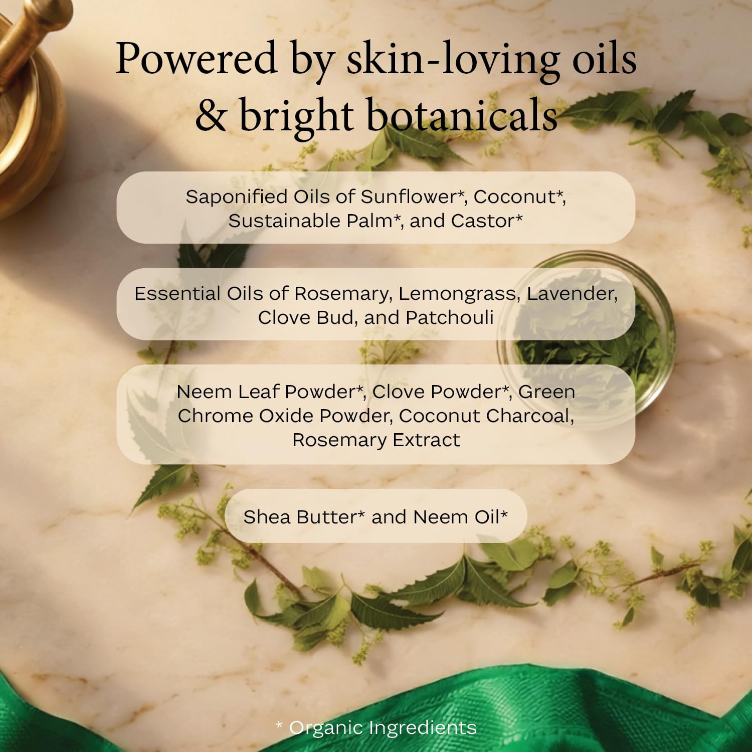 Piya Neem Exfoliating Bar Soap – Purifying Face & Body Cleanser with Neem, Clove, Charcoal and Shea Butter (Pack of 3)