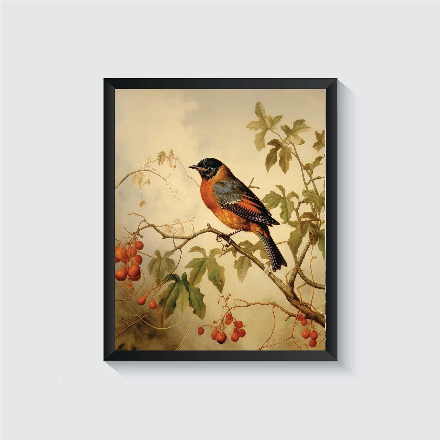 Amazon.com: Robin Poster Art Print Retro Vintage Bird Wall Art Poster ...