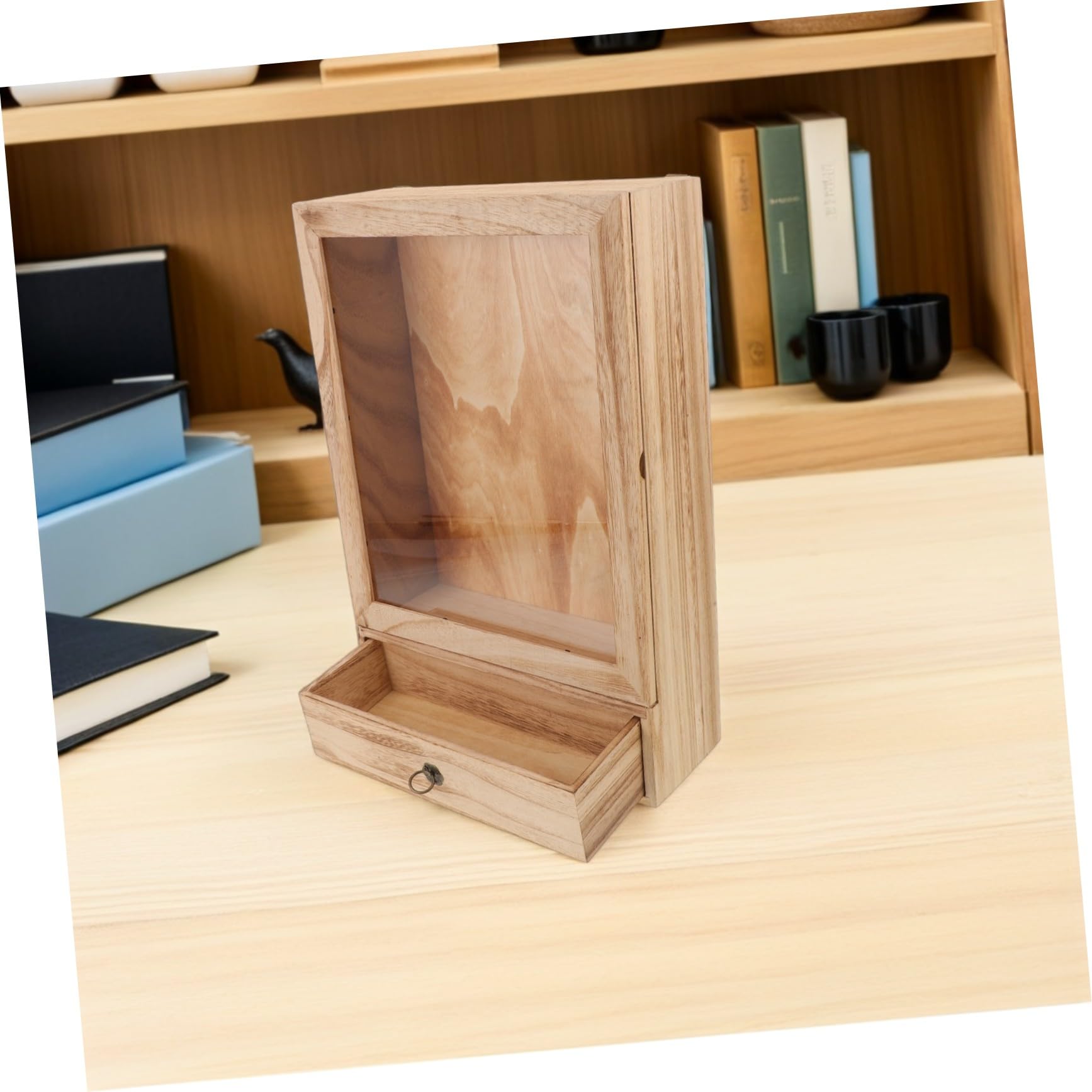TOPBATHY Caja de Muestras de Insectos de Madera Maciza, Marco Vertical
