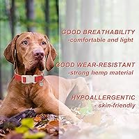 Vista 160 de DOGWONG Collar de perro de San Valentín, collar de perro con estampado de corazones para perros grandes, lindos collares de primavera, hembra