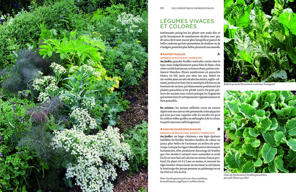 Toutes les plantes belles et comestibles