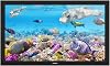KUVASONG 43 Inches Ultra-Slim Full Sun All-Weather Smart Outdoor TV, True 2000 Nits, 43 Inches Waterproof Sun Readable Outdoor TV, Garden TV, Swimming Pool TV, Patio TV